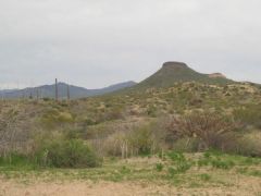 02 26 10
9 mile trail run/hike on Sonoran Desert Preserve!