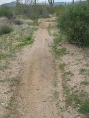 02 26 10
9 mile trail run/hike on Sonoran Desert Preserve!