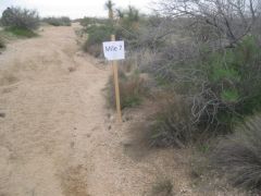 02 26 10
9 mile trail run/hike on Sonoran Desert Preserve!
(mile 7)