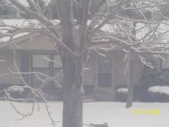 Picture 001