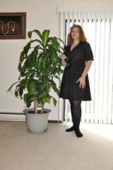 230lb
first dress