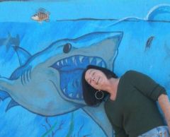 Shark!