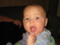 IMG 1772