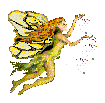 bestfairy