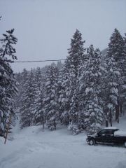 my street