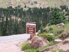 Alpine Zone