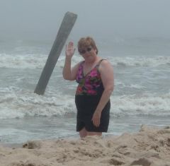 2006