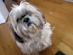Lucky(isn't he handsome)