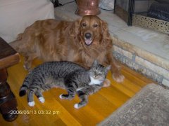 Blair and Sal our cat