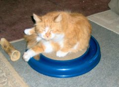 Wendi playing on her toy