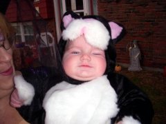 Cute Kitty Kat