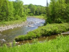 Pretty stream in Vermont