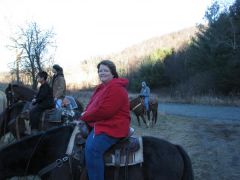 Poor horse!!!