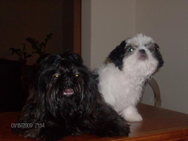 Max and Jasmine