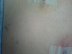 Private Photos 088