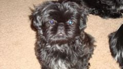 Sara, 9 weeks