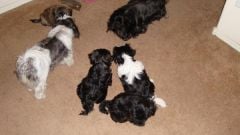 Mommy, daddy and the kids. awww!