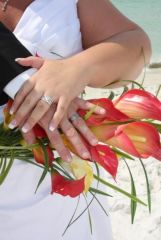 our hands DUH!!