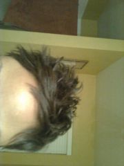 New Hair to go with my new look
I cut it all off for the summer!!!