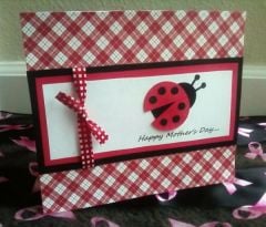 LadyBug