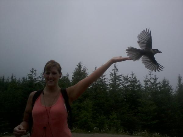 Gone Hiking