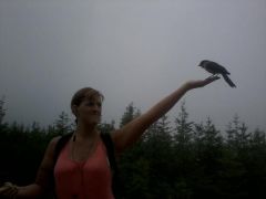 Amazing the birds eating out of our hands