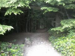 Tiger Trail, Issaquah WA