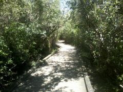 Lake to Lake Trail, Bellevue WA