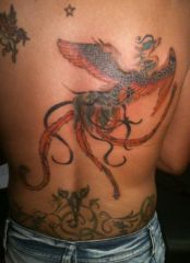 The completed Phoenix