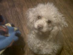 Jesus  Pics 009