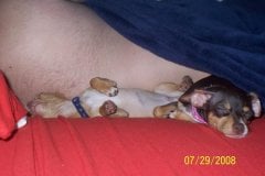 My babies, Peanut and Coco