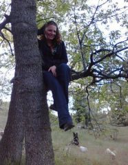 tree with Zep