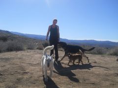 The pack