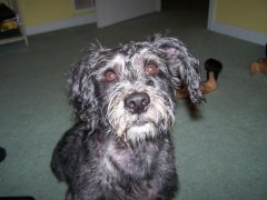 Buddy! :)