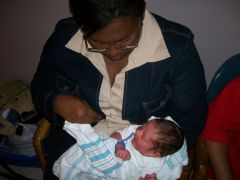 family photos 882