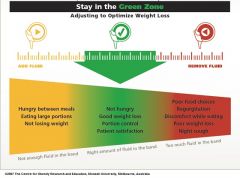 Lap Band Fills   Finding The Green Zone
