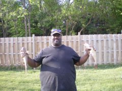 at my biggest...387 ibs.