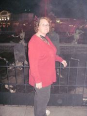 Picture 527