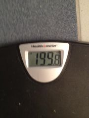 ONE-DERLAND!