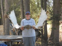 Moose!