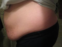 IMG 4548