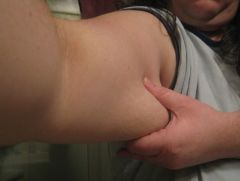 IMG 4557