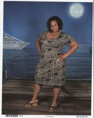 Picture 042