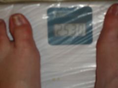 scale 1-29-12