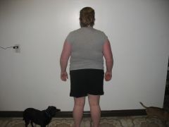 IMG 9651