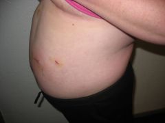 IMG 9669