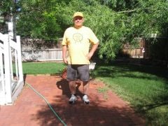 Back yard 6/6/12