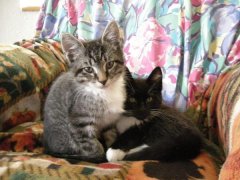 My BOYS