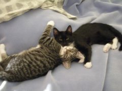 Oscar and Felix