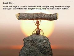 strong